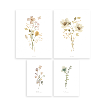 Lot de 4 Affiches Fleurs dessin aquarelle